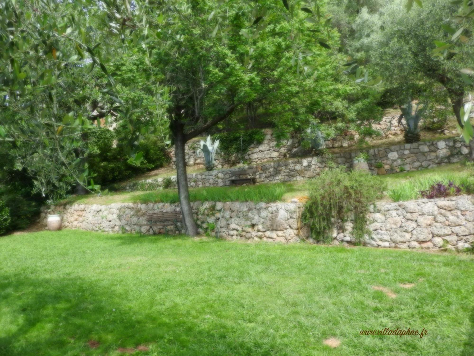 Villa Daphne Spéracèdes Bagian luar foto